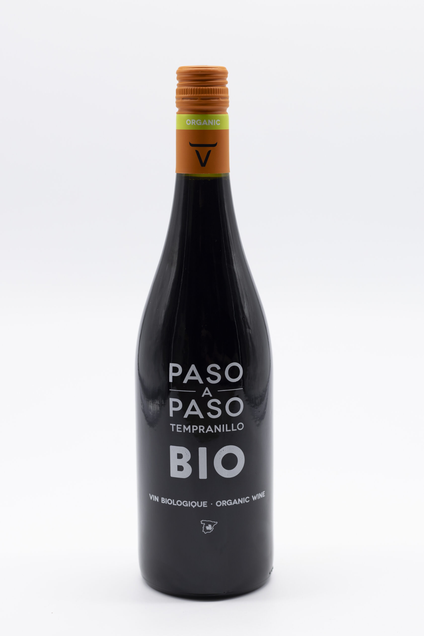 Paso a Paso Castilla
