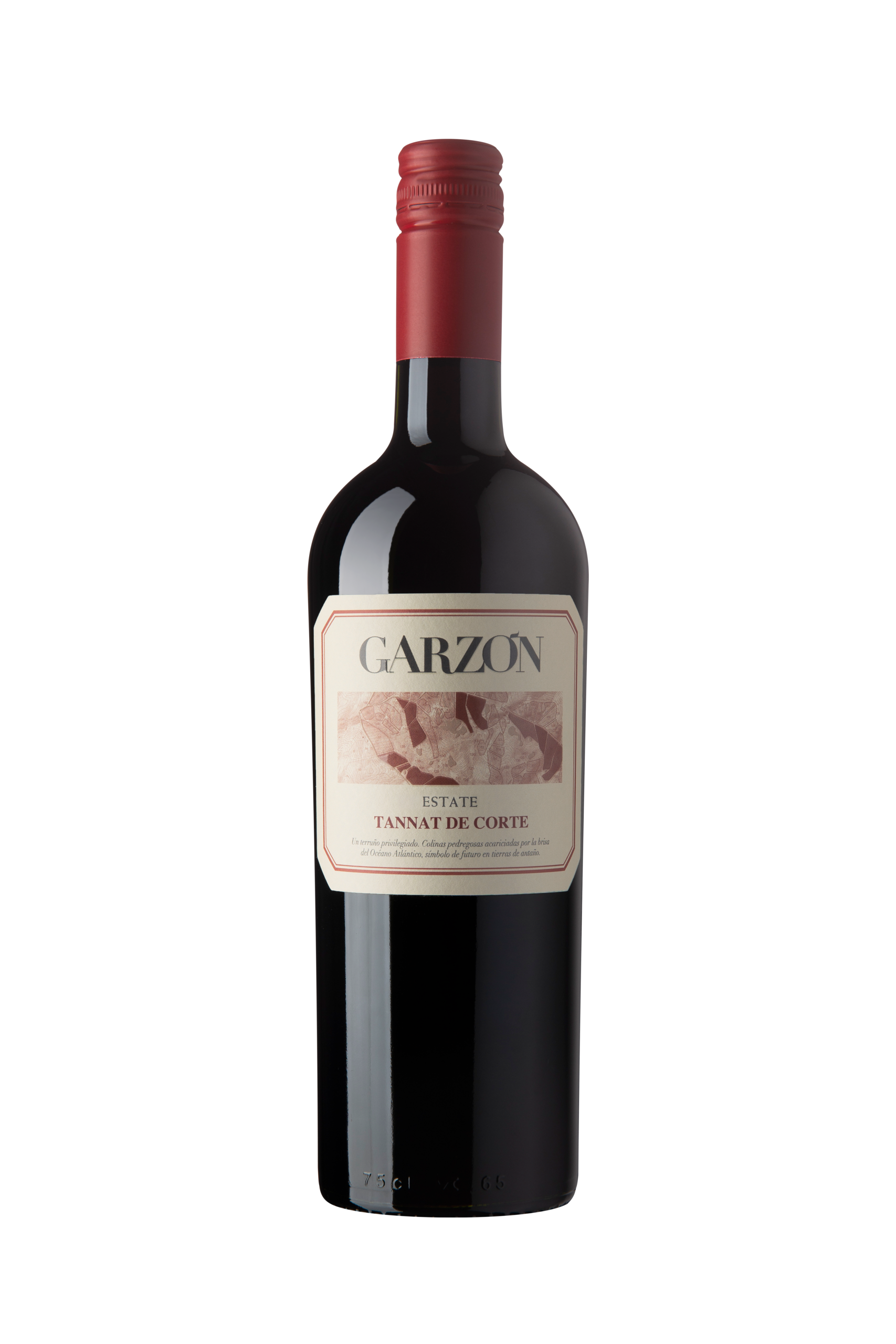Garzon Estate Tannat de Corte